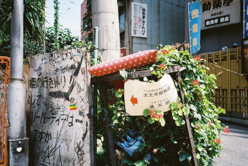 harukari:  Osaka Japan (by ogino.taro) 