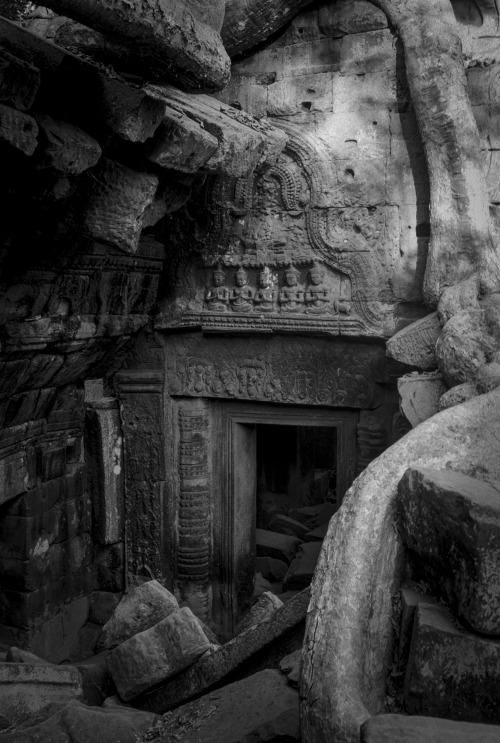 Ta Prohm. Cambodia. Film.