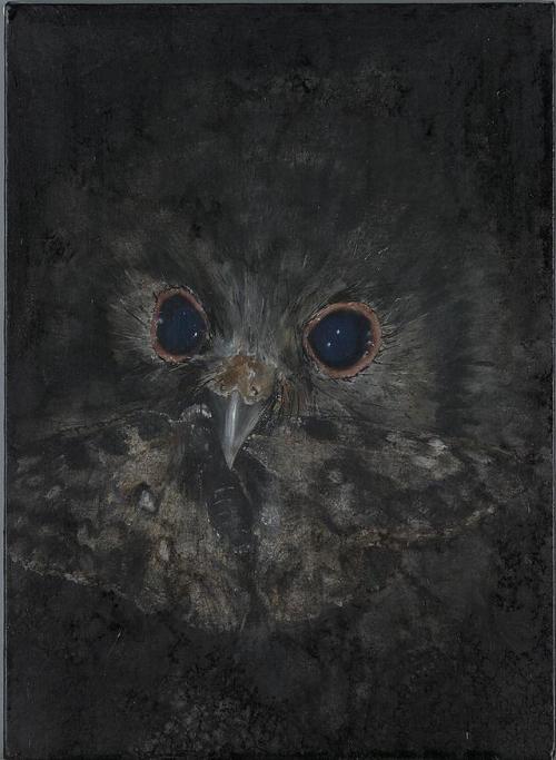 Untitled,  Owl Waldhaus   -    David Noonan, 2002.Australian,b.1969-Oil on canvas ,  38.3 × 27.9 cm