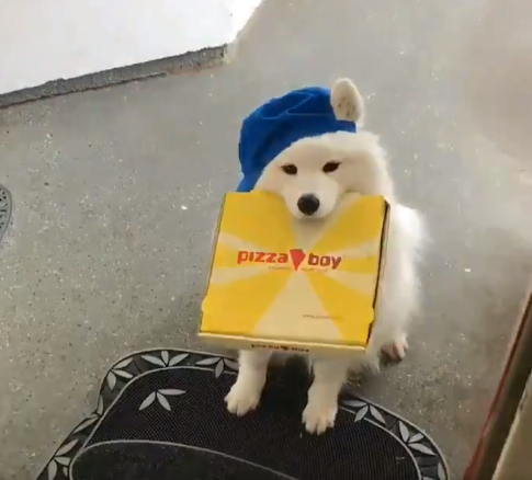 pomfpanda:  *door bell rings**opens door**tips 贄,000*