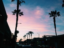 vvhitelace:  abbot kinney, ca