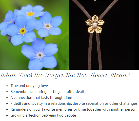 The Symbol of Loyalty Behind the Forget Me Not Flower