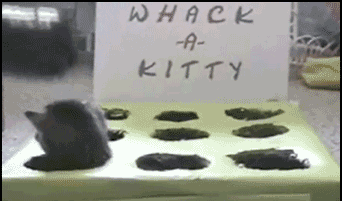 greatybuzz:A rousing game of whack-a-kitty… LMAO!!!