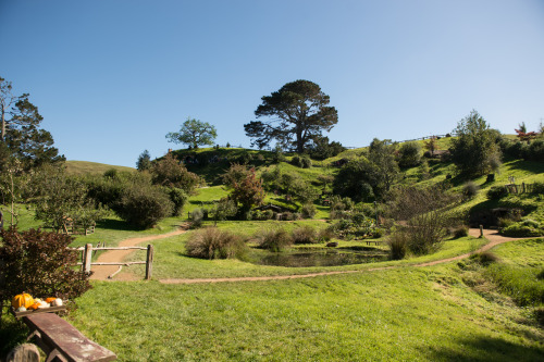 captainhanski:  Hobbiton / The ShireHannah Ray - twitter | instagram | blog | facebookblog post: here