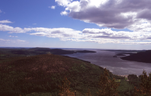 Another one from the Archive: Skuleskogen National Park, The High Coast, Sweden ⁣⁣Nikon F4 | Expired