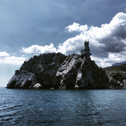 -Swallow&rsquo;s Nest-