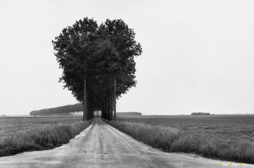 shakespeare-s-sister:
“ Henri Cartier Bresson, 1968
”