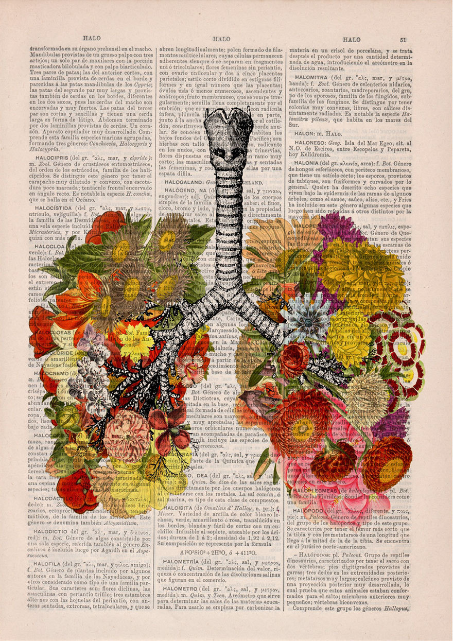 boredpanda:    Floral Anatomical Illustrations Breathe New Life Into Old Discarded