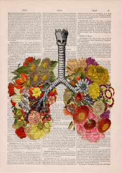 boredpanda:    Floral Anatomical Illustrations Breathe New Life Into Old Discarded Books   