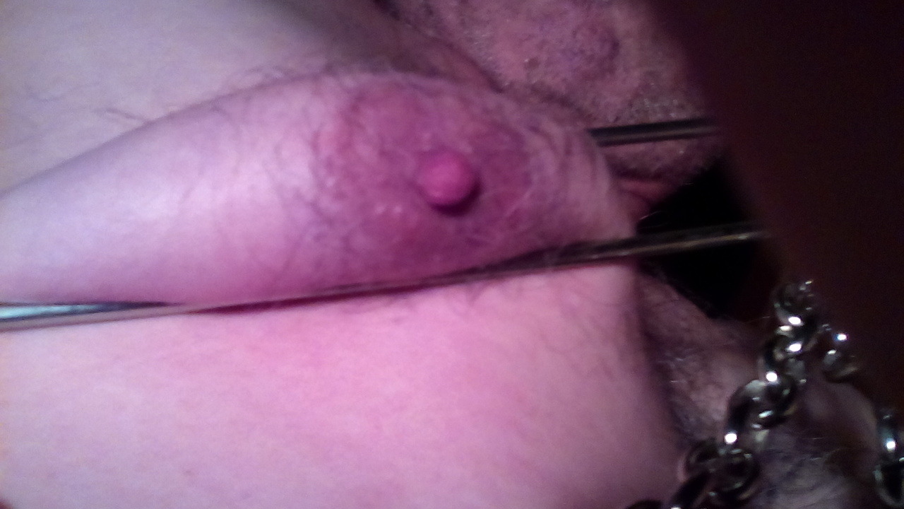 Sissyschweinetittchen