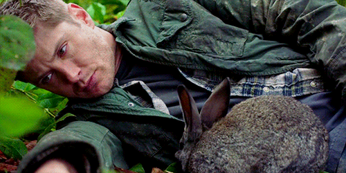 I need a list of all the Supernatural episodes where the Winchesters interact with adorable animals 