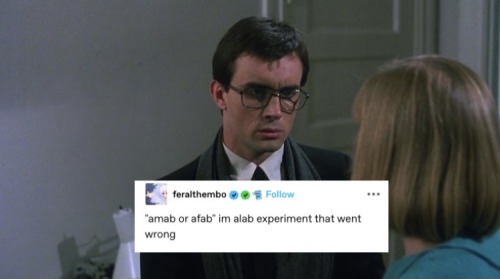 Reanimator & Text Posts