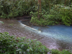 quiet-nymph:  “Costa Rica” by Jörn Schiemann  I daydream, my lover and I, posted up at this spot as we play all day, feeding each other fruit and admiring the lush beauty that we lay upon; taking breaks to spark a j and splash each other in the water