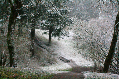 quiet-nymph:Pacific Northwest photography by Michelle N.W.☼Print Shop☼ ☼Blog☼☼ Please do not remove 