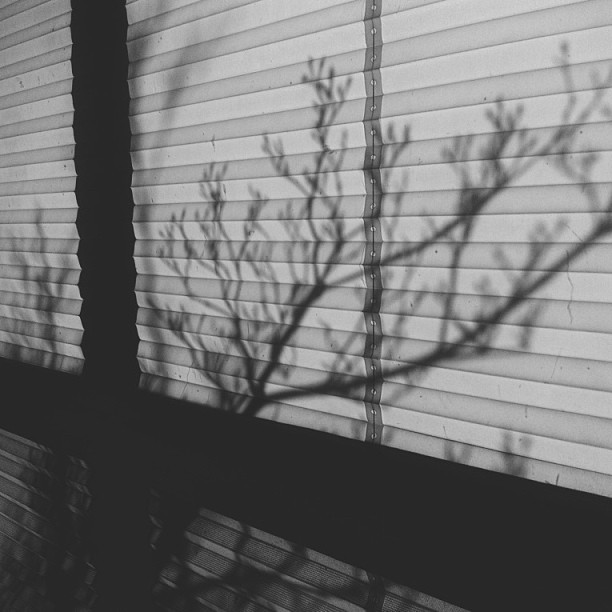 You don&rsquo;t always have to be in be in the shadows.
