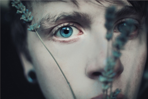 thehesherwashere:  melisica: (by Seanen Middleton) 