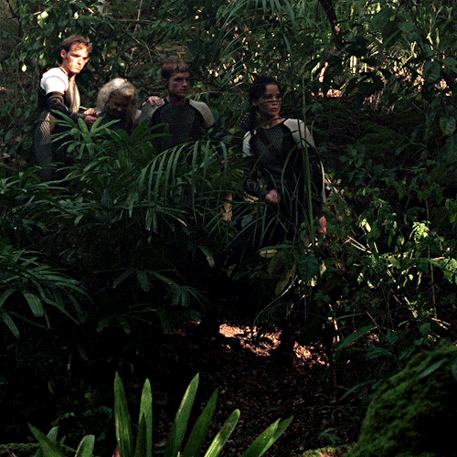 Katniss… Remember Who The Real Enemy Is.