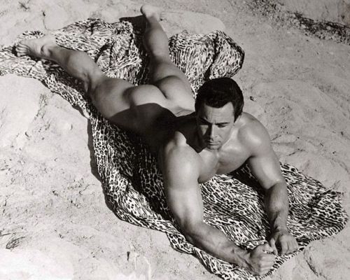 Vintagegay