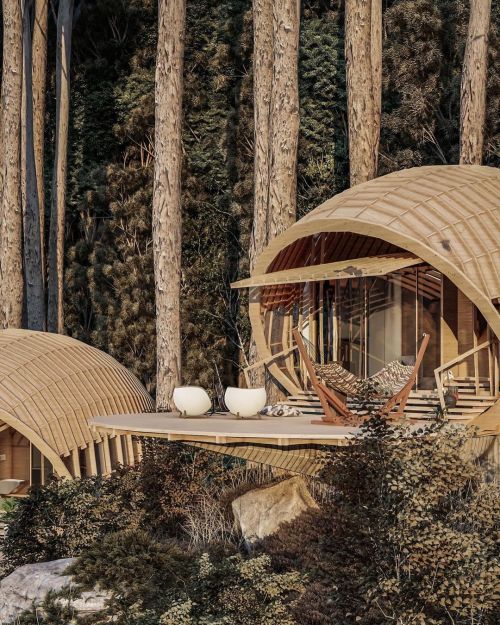 utwo:  Cabins on the mountain by Veliz Arquitecto &amp; ta E. “Organic  architecture