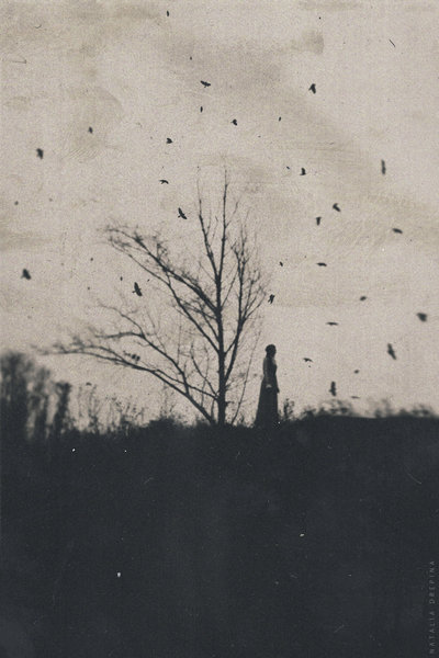 les-memes-histoires:Sense Of Foreboding by Natalia Drepina