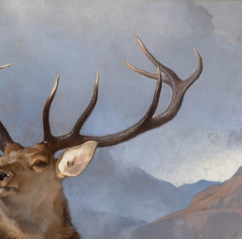 Edwin Landseer - The Monarch of the Glen, 1851, Scottish National Gallery, Edinburgh.