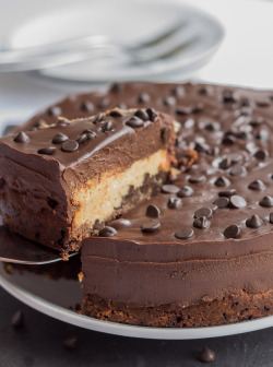 chocolate-dessert:  fullcravings:  Peanut Butter Chocolate Chip Cheesecake  More chocolate here   Gimme