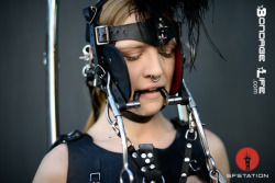 greyhoundsowner:  greyhound attended the Folsom Street Fair last weekend as a pony girl under the command of the infamous JG Leathers. Here are a few pics, but look for video on the site soon!BondageLife.comImages courtesy of https://www.sfstation.com