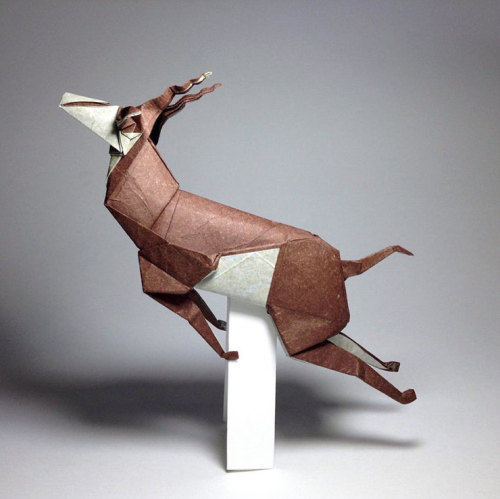 designwrld:                                  Origami Sculptures by Robby Kraft 