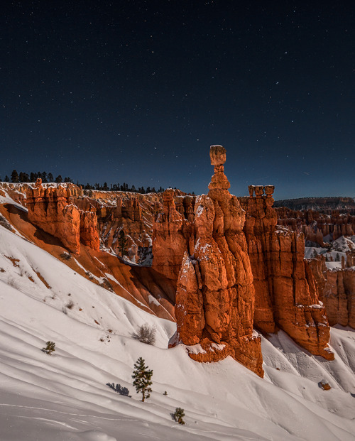 renamonkalou:    Fabulous New Year’s Eve in a snowy Bryce | izhDiletant (Valeriy Shcherbina)   