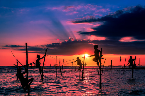smithsonianmag:  Photo of the Day: Fishermen on Stilts Photo by Suranga Weeratunga (Kandy, Sri Lanka); Galle, Sri Lanka 
