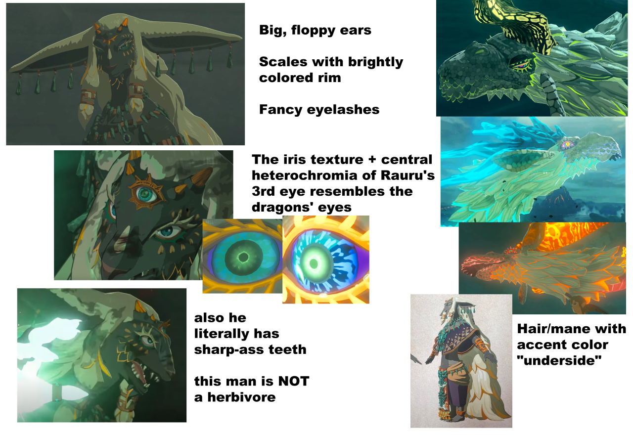 Presenting: all of my “Rauru, Mineru and the Zonai are dragon people not goat/bunny people” evidence, neatly compiled into one image!
Though the goat comparisons also work in favour of this evidence because of the following quote from concept artist...