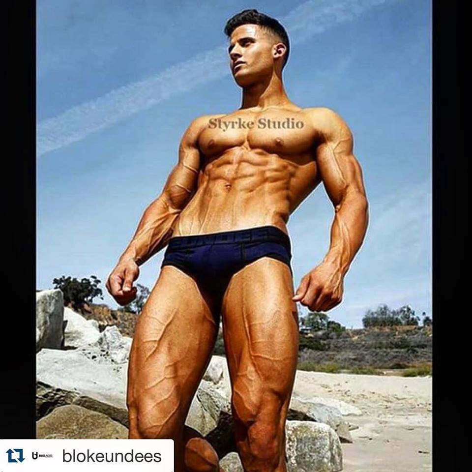   Dominick Nicolai