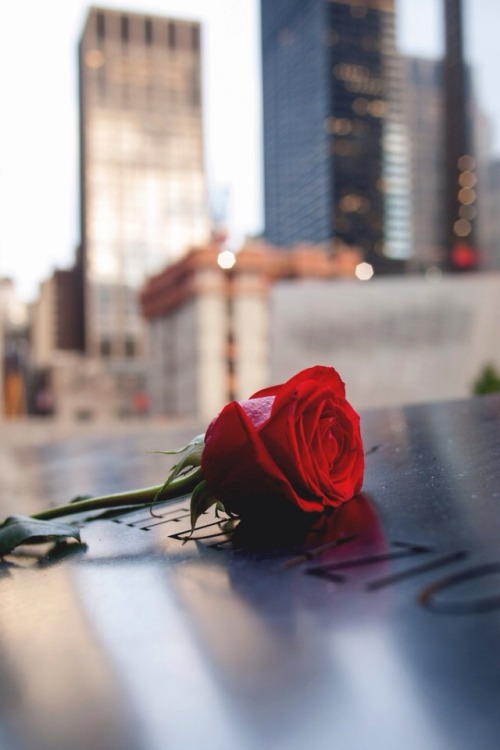 loftbreeze:Not Forgotten | Photographer