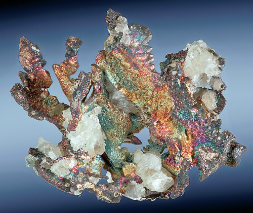fuckyeahmineralogy: Native silver with calcite; Atacama Province; Chile