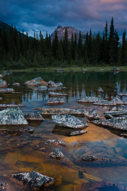 Expressions-Of-Nature:  Jasper National Park, Alberta Canada : Dmitry Moiseenko