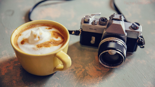 Cat Latte and a Photo Adventure.