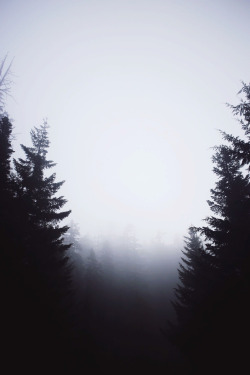 lvndscpe:  Untitled | by Sam Ciurdar