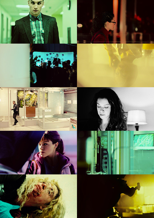 jongrittehasmoved-deactivated20:  Nature Under Constraint and Vexed  