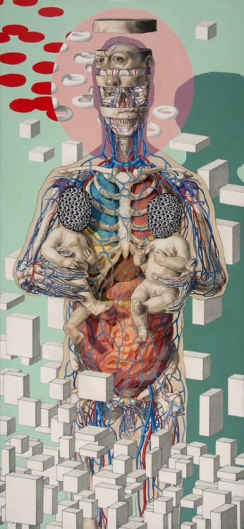 anatomic art by Michael Reedy