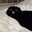 evsrythingoes