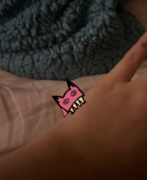 Something Is Off About This Cat