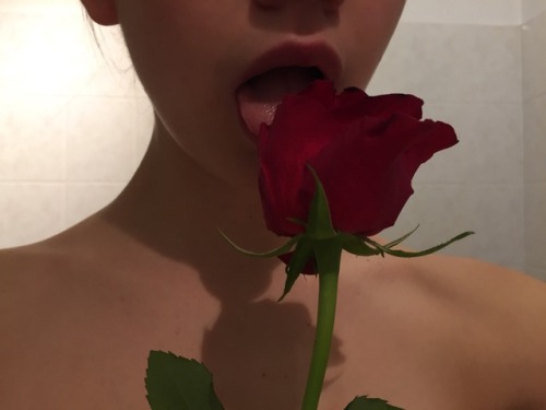 bae