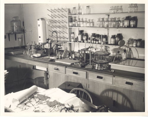 Rosalind Franklin: Hero. Photo Here: Her Lab.