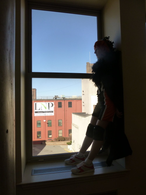 Haikyuu!! Sunday Shoot @ Zenkaikon 2015Hinata // Kageyama // Nishinoya // Oikawa