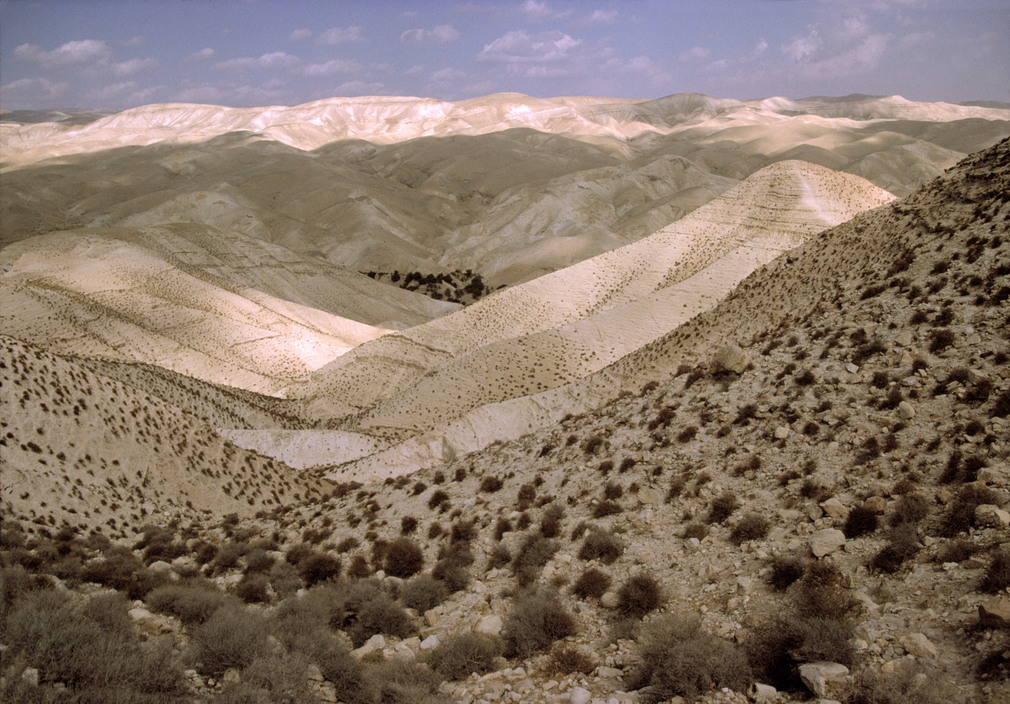 pleoros:  harry gruyaert, israel landscape, 1996 