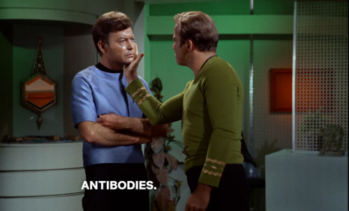 I'm Gonna Be Annoying About The Immunity Syndrome, Please Bear With Me:
