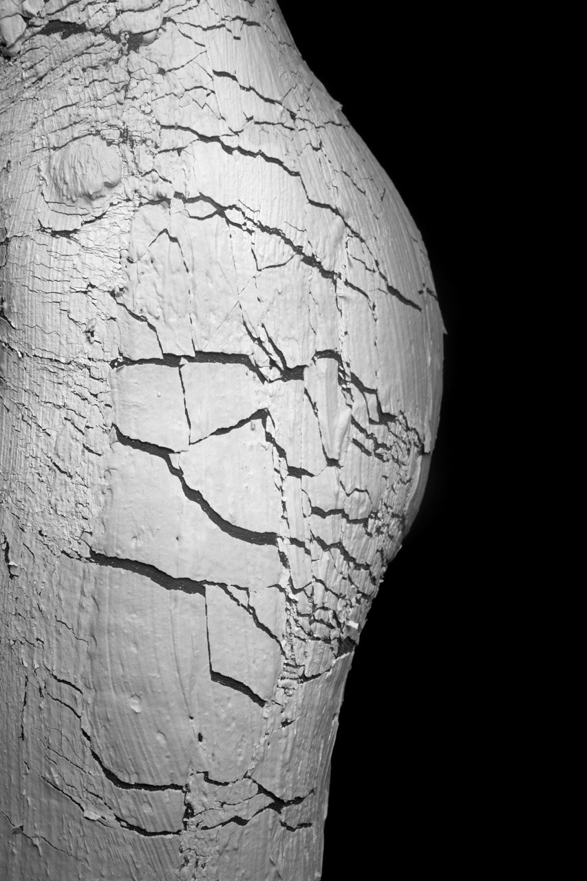 ddliciousxxl:  The last of my texture shoot plaster hurt like a bitch! But it was