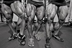 Best Bodybuilding Pics