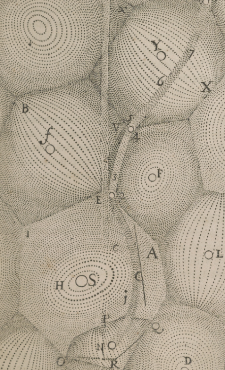 magictransistor:  René Descartes. Principia Philosophiae. Amsterdam, Apud L. Elzevirium. 1644. Descartes’s Mechanical Philosophy: According to French philosopher René Descartes (1596-1650), the universe operated as a continuously running machine which