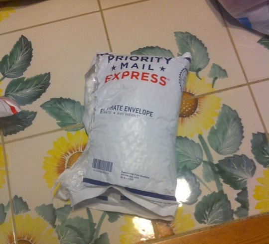 hdoomguy:  capncjr:  sgt-shivers:  terminusest13:  What’s this? Got a package today. What could possibly be in it?A bag, apparently. Well, what’s inside the bag?Another bag, apparently. This is just silly. REVEAL YOUR SECRETS TO ME ALREADY.Oh.Oh.